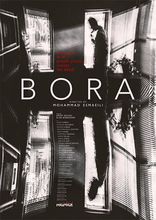 Poster for The Bora
