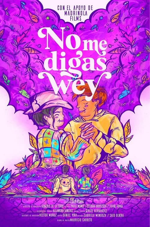 Poster for No me Digas Wey