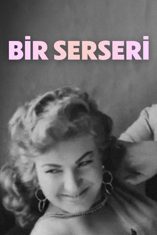 Poster for Bir Serseri