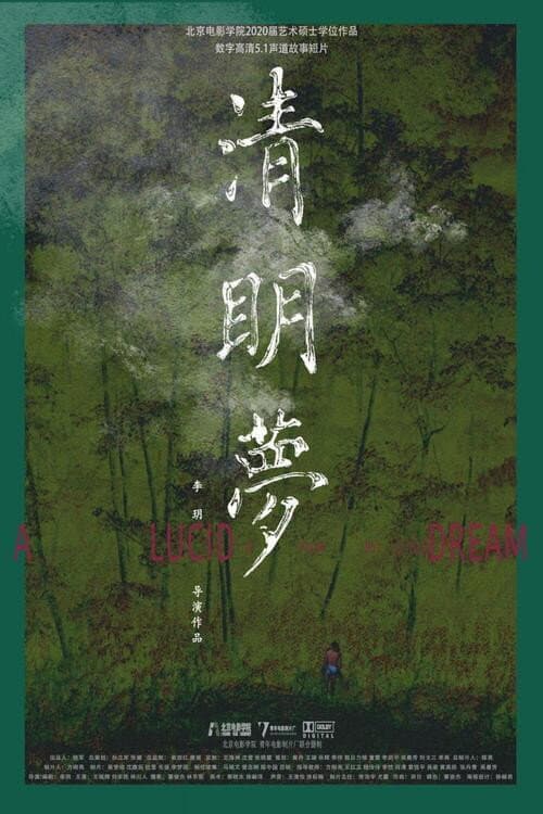 Poster for A Lucid Dream