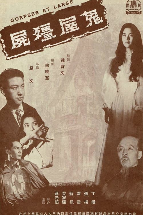 Poster for Zombie in a Haunted House