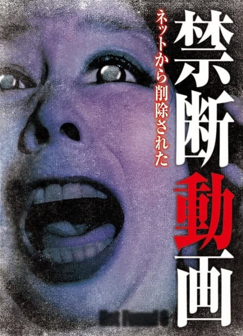 Poster for Not Found 6
