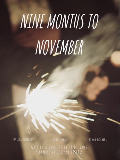 Poster for Nine Months to November