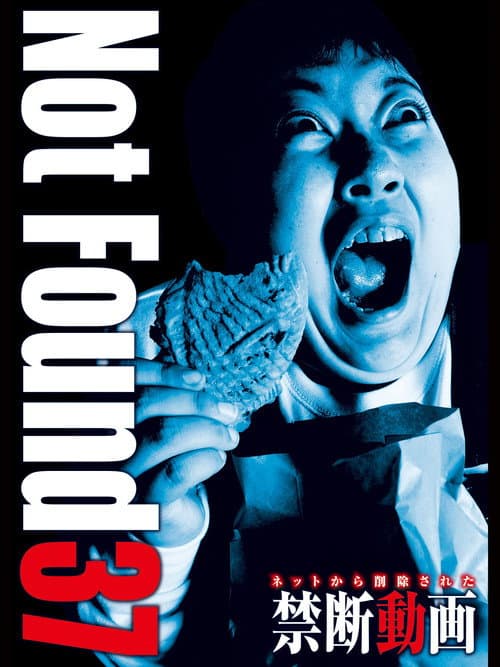 Poster for Not Found 37