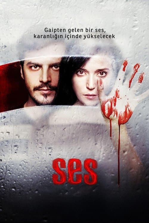 Poster for The Voice