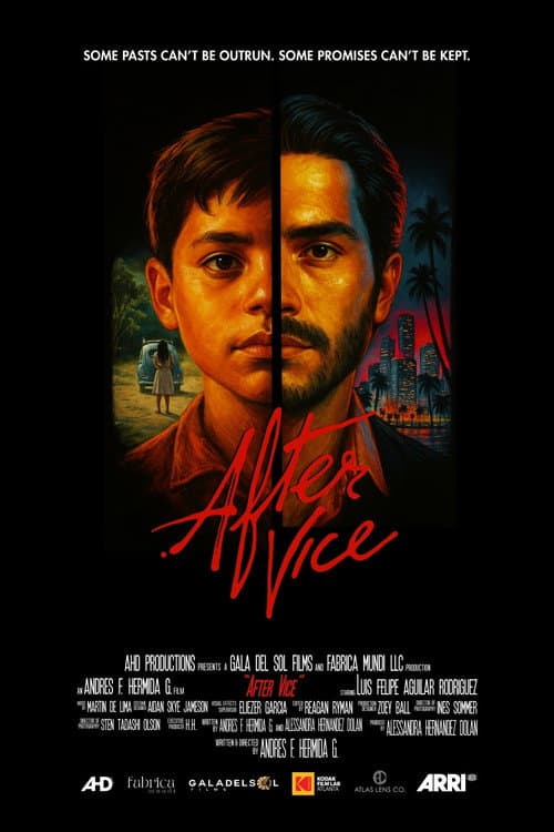 Poster for After Vice