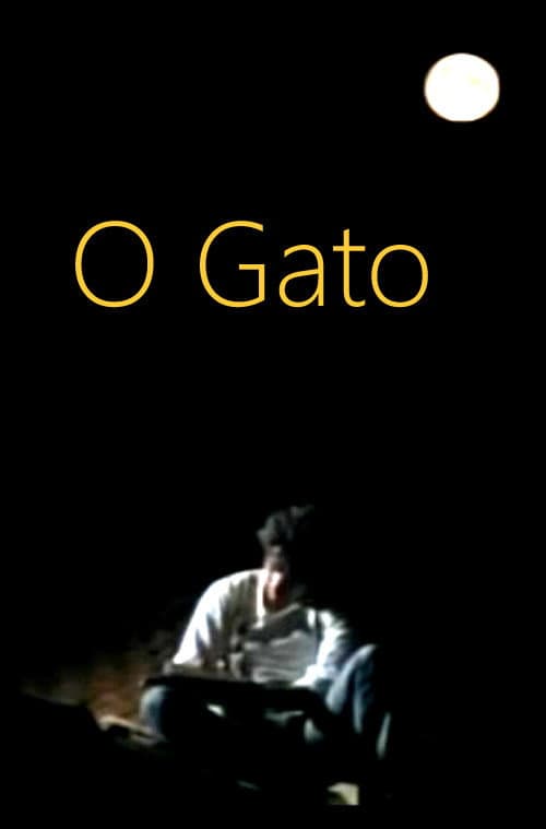 Poster for O Gato