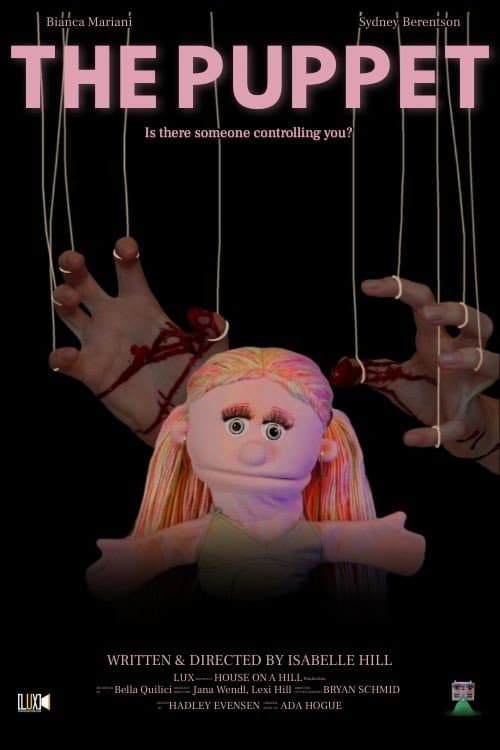 Poster for The Puppet