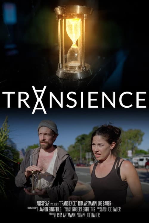 Poster for Transience