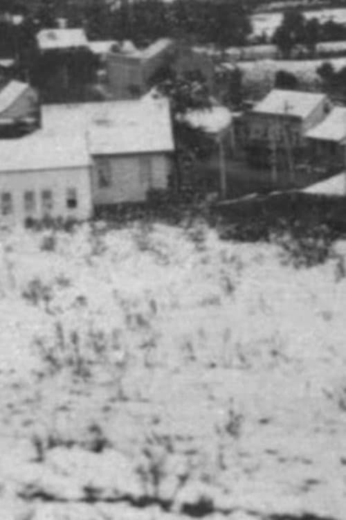 Poster for Snow in Curitiba