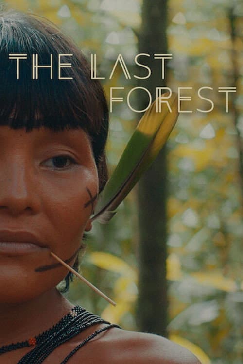 Poster for The Last Forest