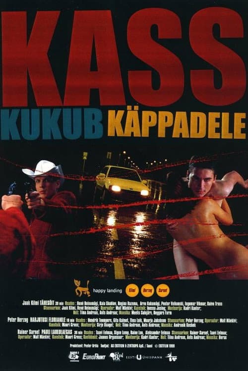 Poster for Happy Landing