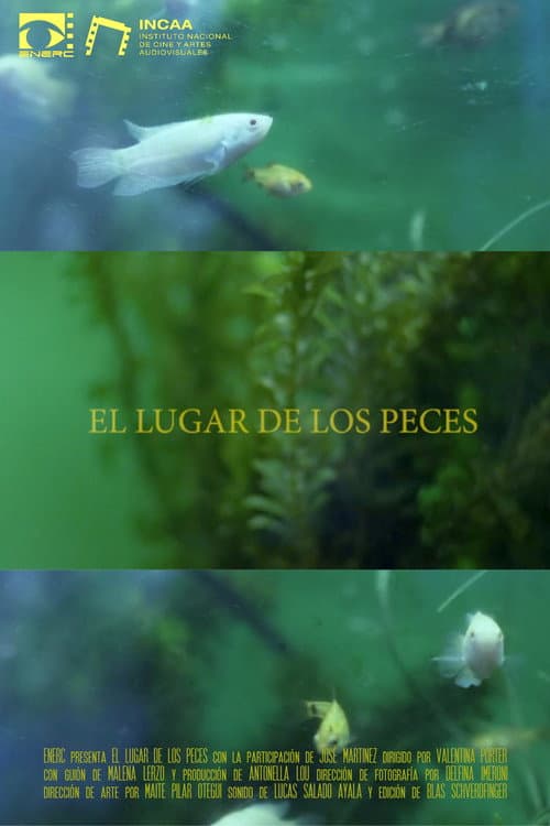 Постер до фільму «El Lugar de los Peces»