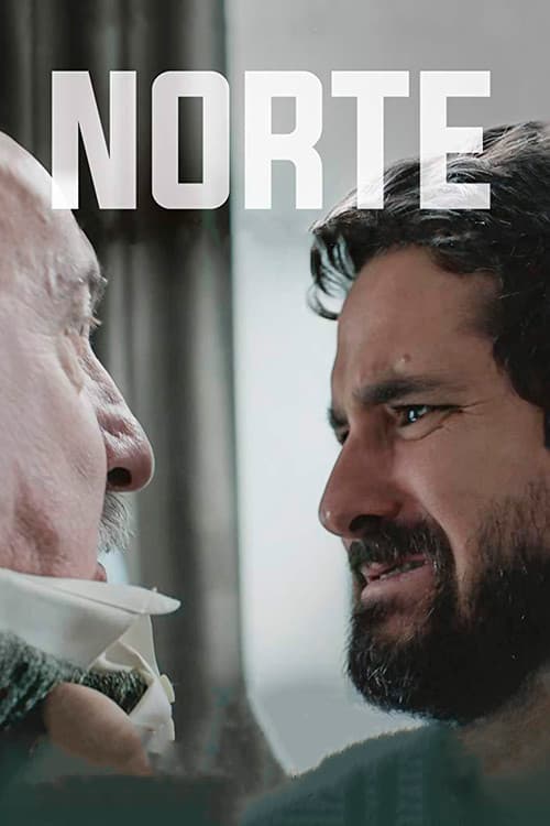 Poster for Norte