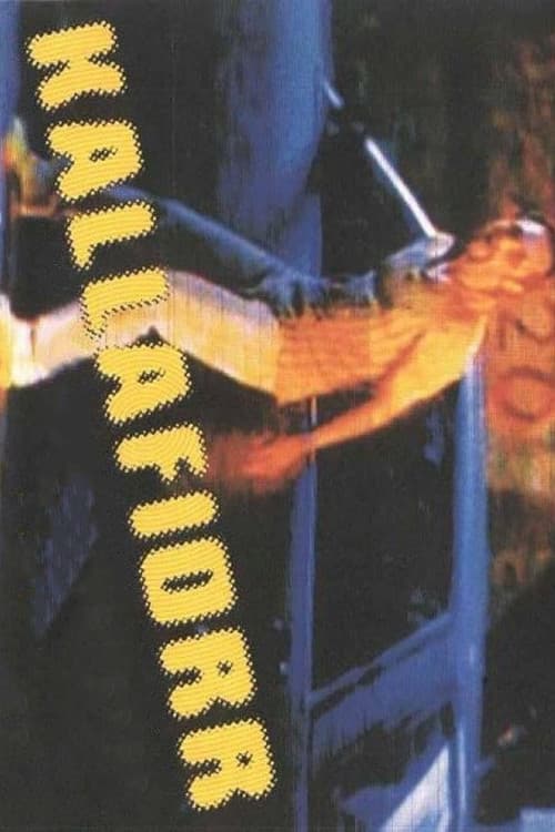 Poster for Kallafiorr
