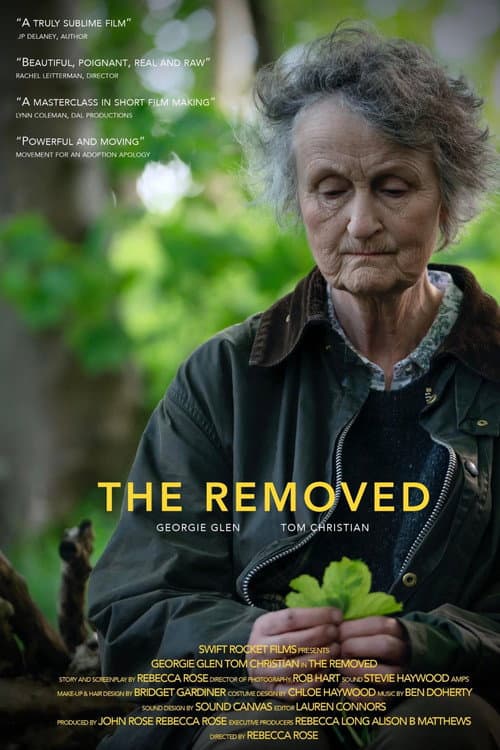 Poster for The Removed