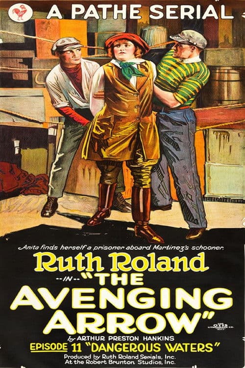 Poster for The Avenging Arrow