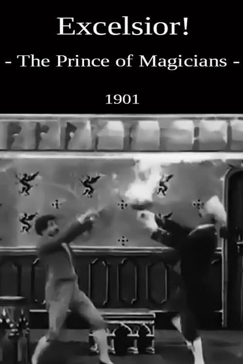 Poster for The Prince of Magicians