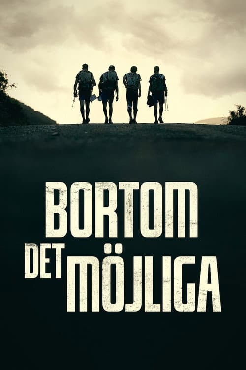 Poster for Bortom det möjliga