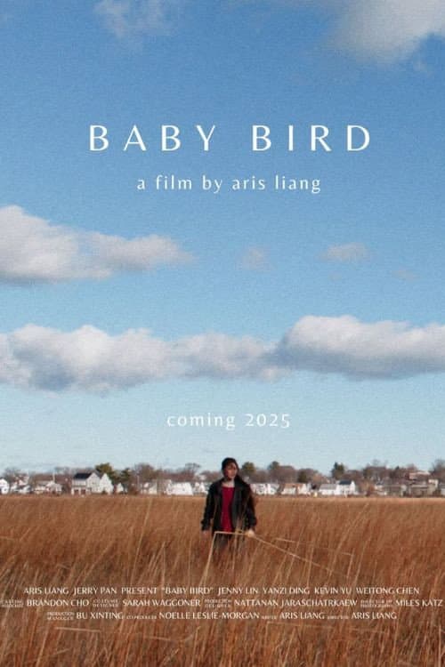 Poster for Baby Bird