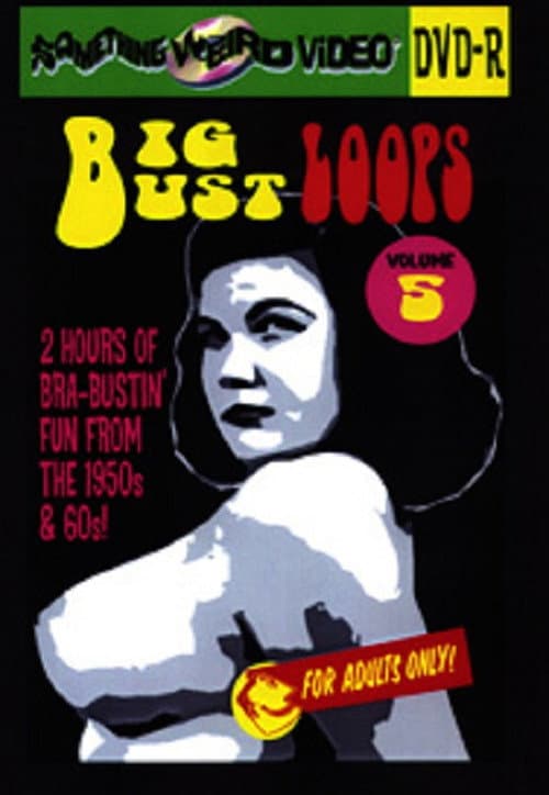 Poster for Big Bust Loops Volume 5