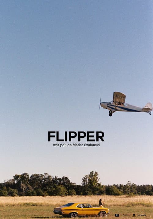Poster for Flipper