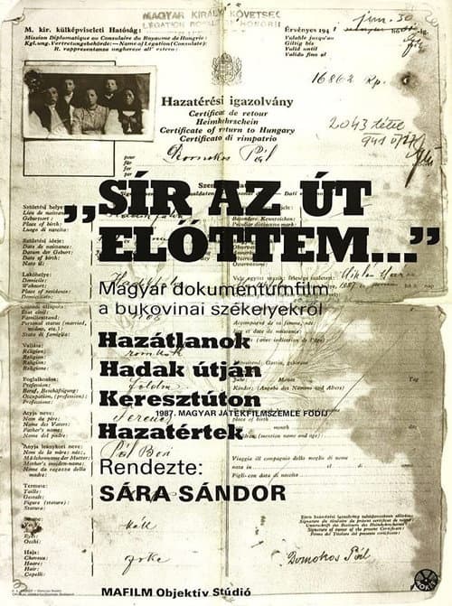 Постер до фільму «The Road Is Crying in Front of Me»