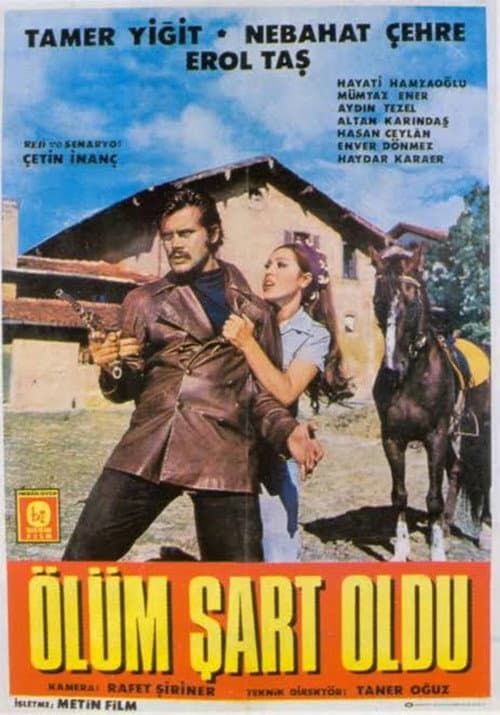 Poster for Ölüm Şart Oldu