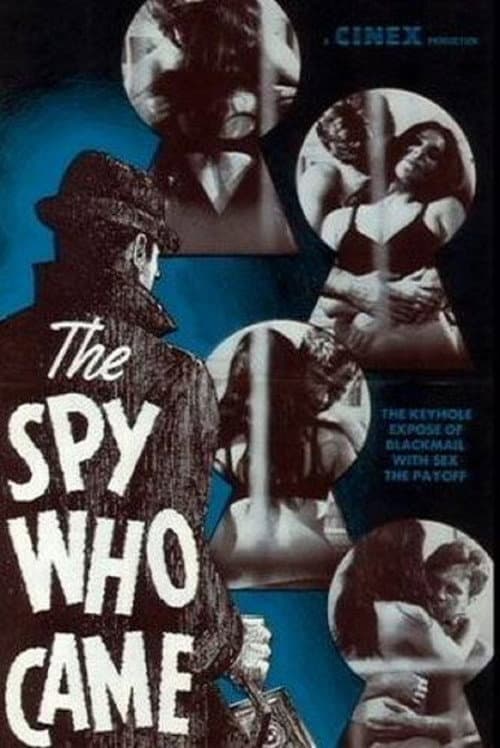 Poster for The Spy Who Came