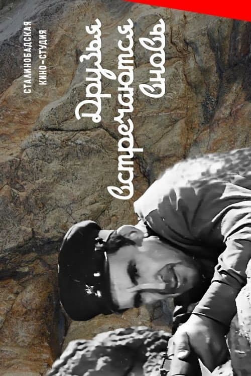 Poster for Friends Meet Again
