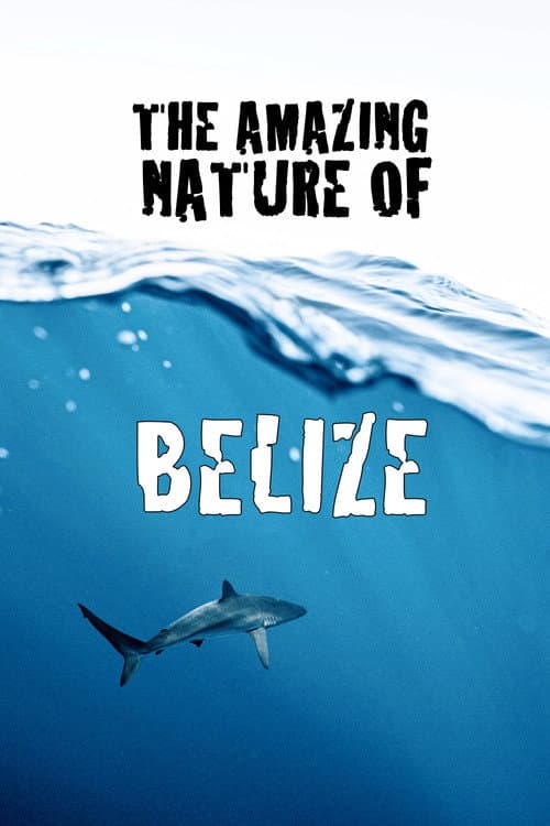 Poster for The Amazing Nature of Belize
