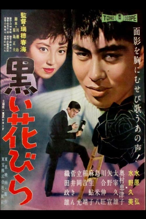Poster for Black Flower Petal