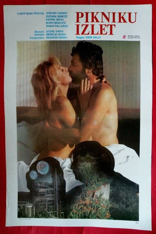 Poster for The Picnic