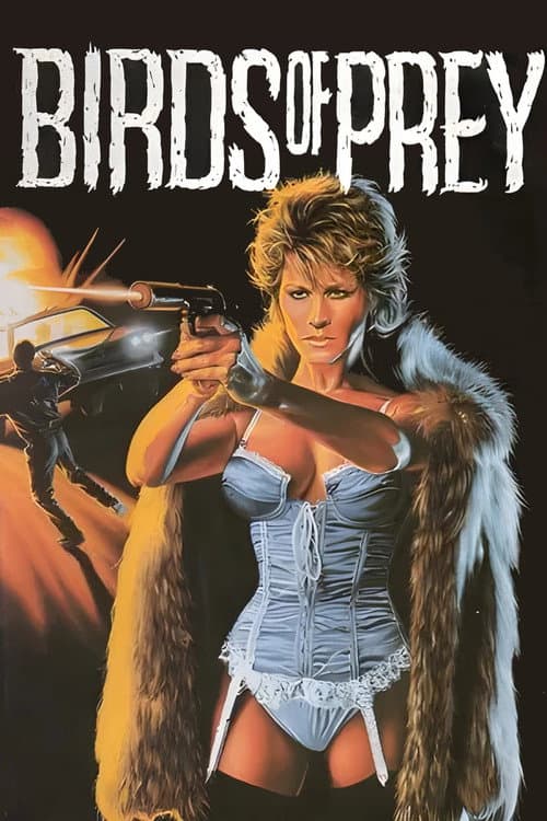 Poster for Birds of Prey
