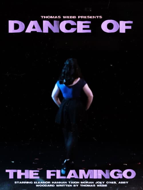 Poster for Dance of the Flamingo