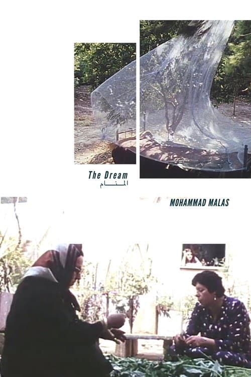 Poster for The Dream