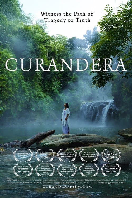 Poster for Curandera