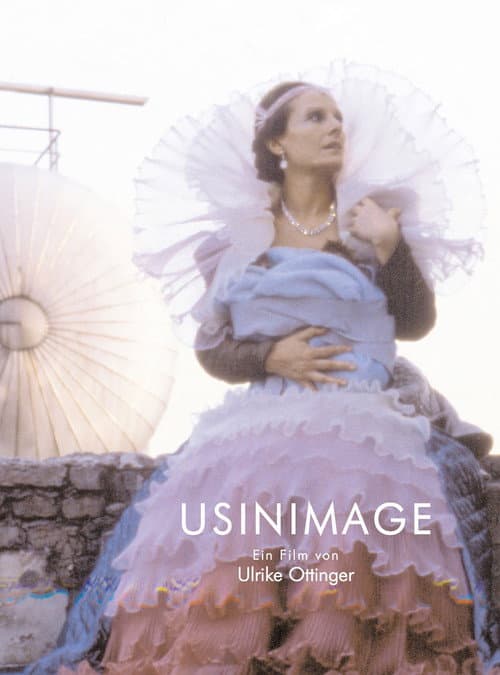 Poster for Usinimage