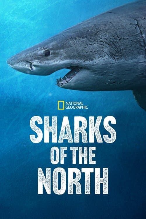 Постер до фільму «Sharks of the North»