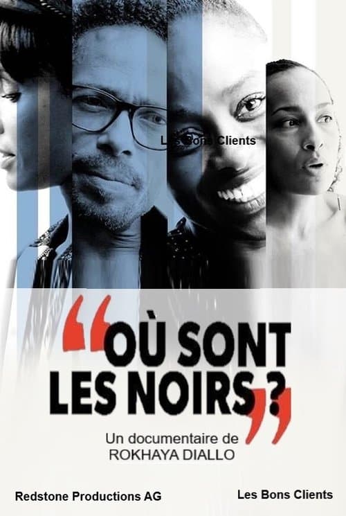 Poster for Où sont les noirs ?