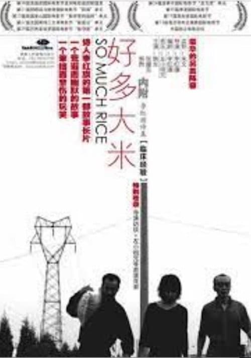 Poster for So Much Rice