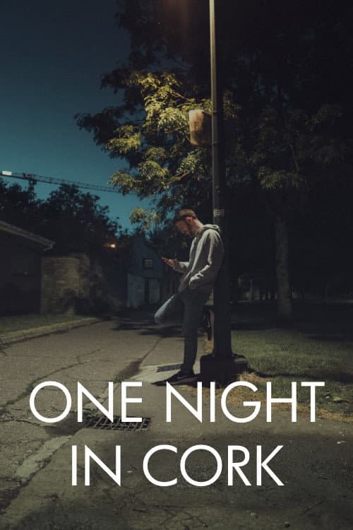 Poster for One Night in Cork