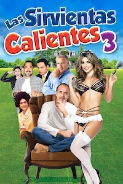 Poster for Las sirvientas calientes 3