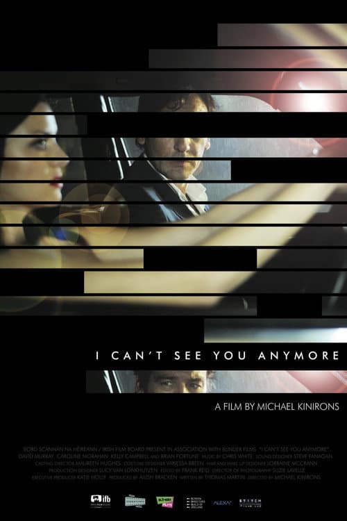Poster for I Can't See You Anymore