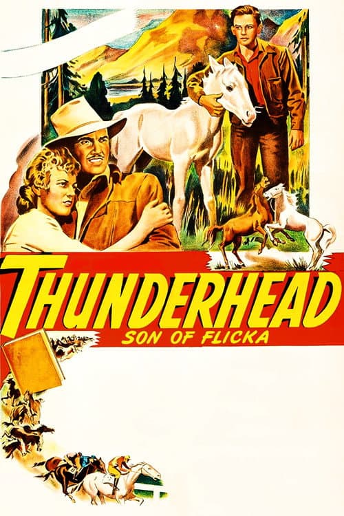 Poster for Thunderhead: Son of Flicka