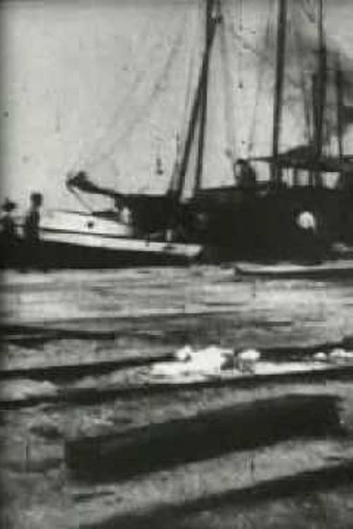 Poster for Bird's-Eye View of Dock Front, Galveston
