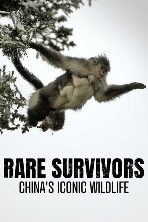 Poster for Rare Survivors: China's Iconic Wildlife