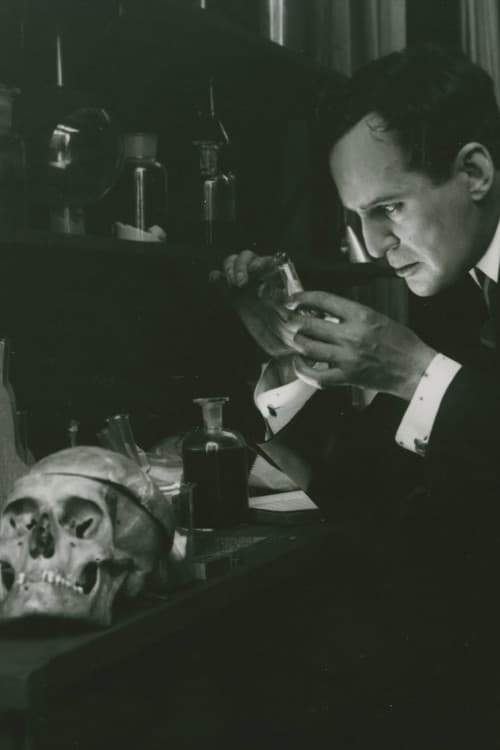 Poster for The Shadow of a Crime