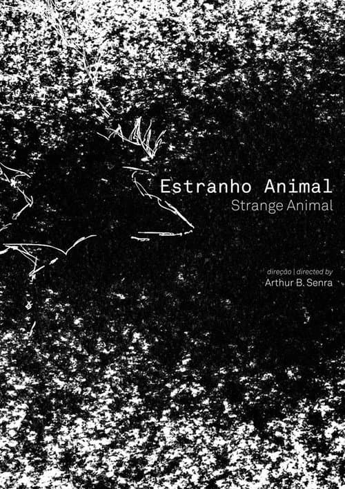 Poster for Estranho Animal