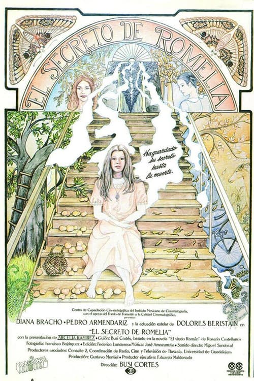 Poster for Romelia's Secret